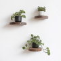 Hanah Home Conjunto de 3 Estantes de Pared de Madera Decorativos